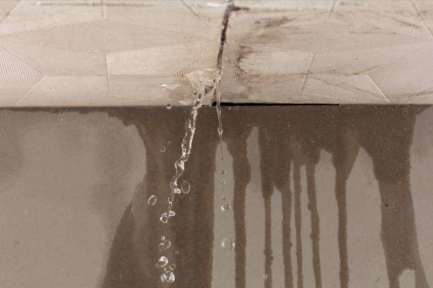 Professional Water Damage Inspection technician working in Woodville, OH
